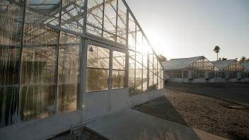 Exterior view of greenhouses used in research at UC Davis.