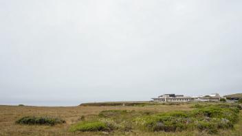 Coastal prairie at the Bodega Marine Reserve