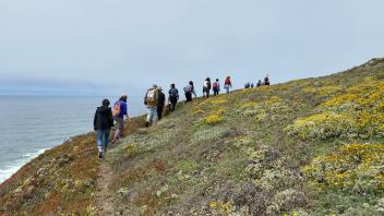 Students hike across a bluff at the Bodega Marine Reserve