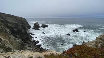 Fog, surf, sand, rocks, and iceplant at the Bodega Marine Reserve