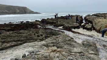 Students exploring the rocky intertidal at the Bodega Marine Lab