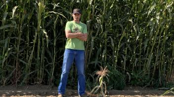 Person standing in front of a corn field