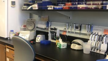 lab bench