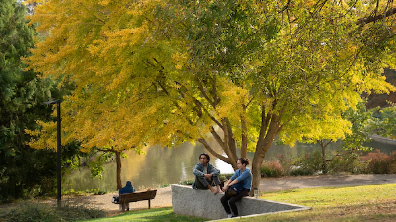 The current site of the UC Davis Arboretum used to be home to the Patwin people