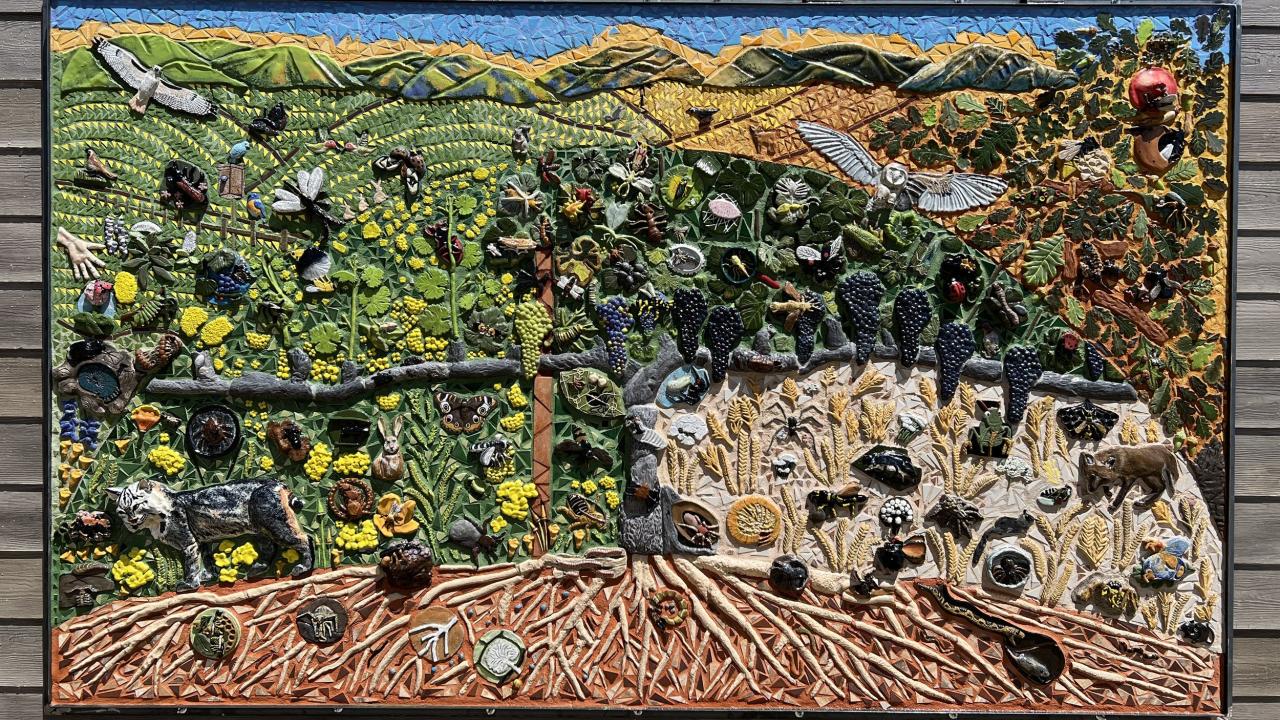 Secret life in a vineyard -- ceramic mural