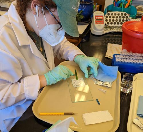 Researcher at a lab bench wearing full personal protective equipment
