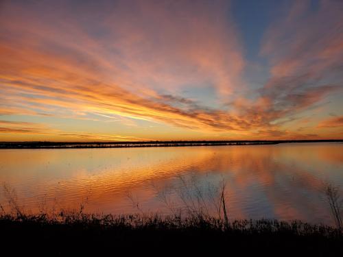 Sunrise over the Yolo Bypass