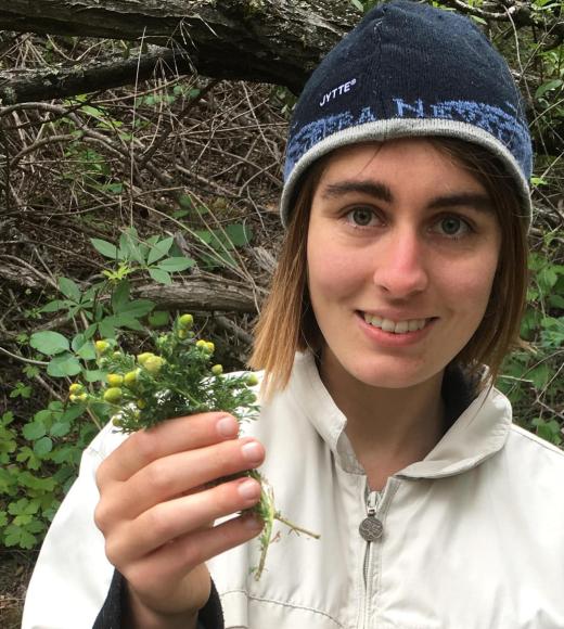 Molly Clemons with chamomile