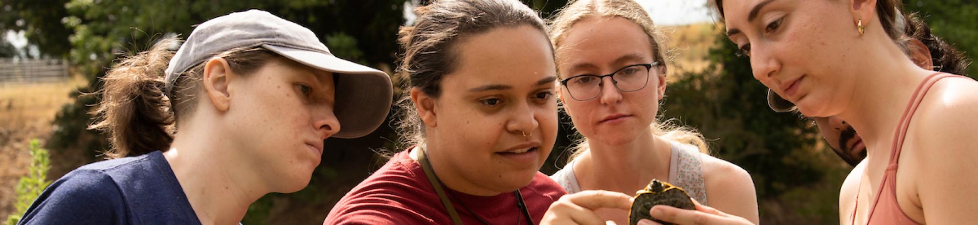 Sidney Woodruff shows other students how to measure a pond turtle