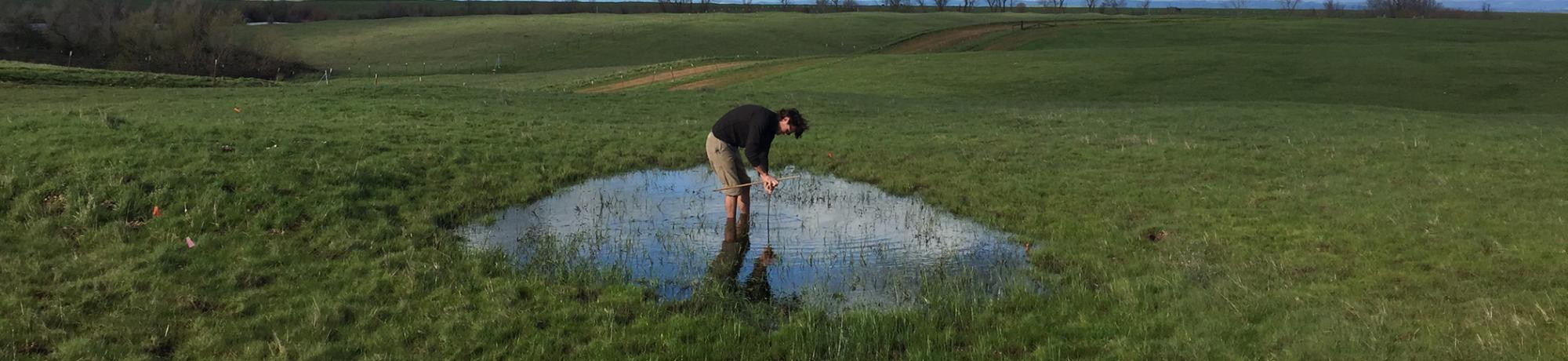 Vernal pool